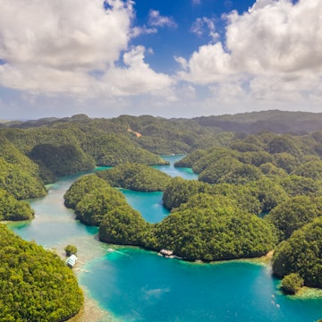 Mangroves forest cove a Sugba lagoon in Siargao, Philippines. Aerial shot taken with drone
